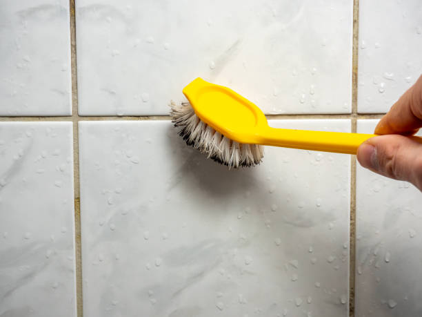 Best Office Mold Removal Services  in Mill Neck, NY