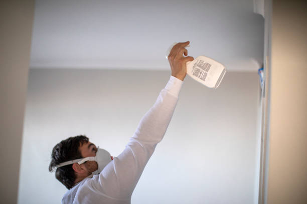 Best Same-Day Mold Removal  in Mill Neck, NY