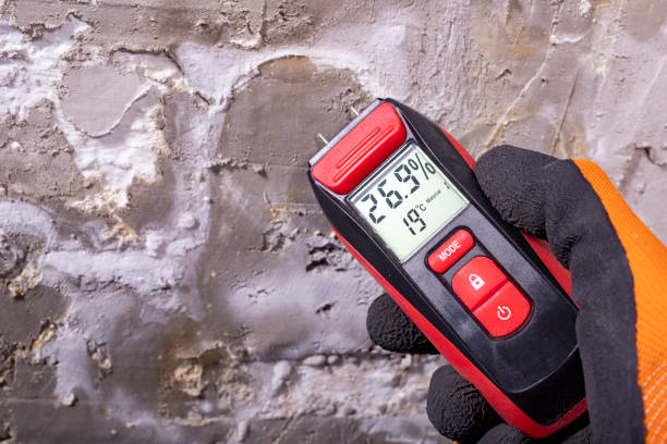 Best Mold Testing and Removal  in Mill Neck, NY